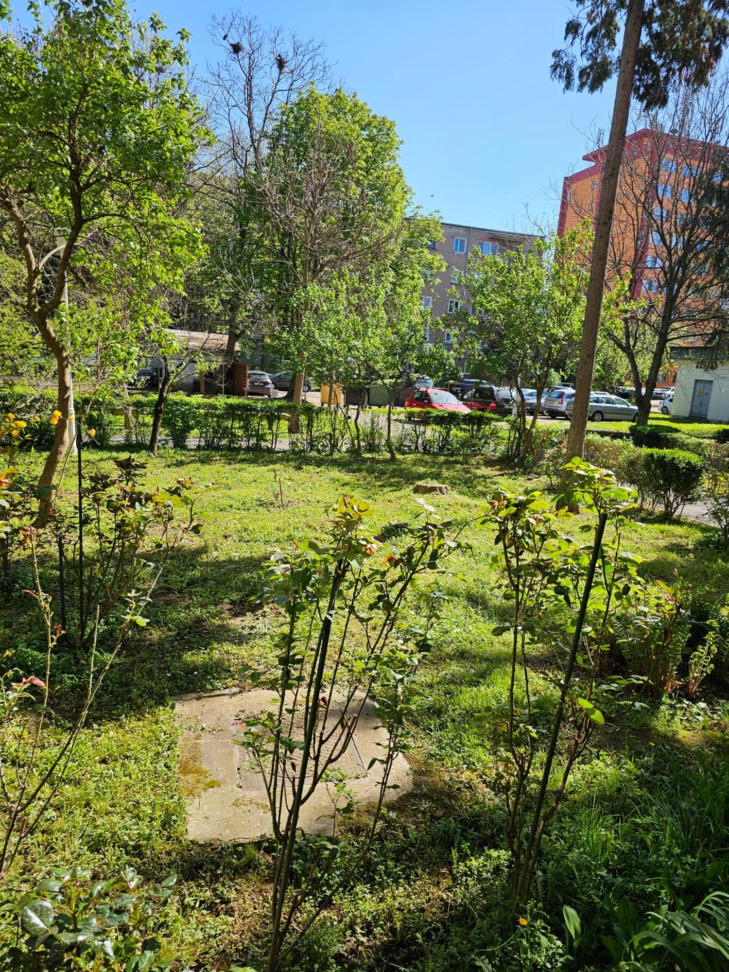 Apartament Alina เดวา ภายนอก รูปภาพ